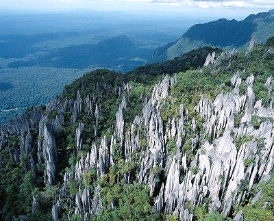 อุทยานแห่งชาติกุนุงมูลู (Gunung Mulu National Park)