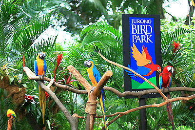 สวนนกจูร่ง (Jurong Bird Park)
